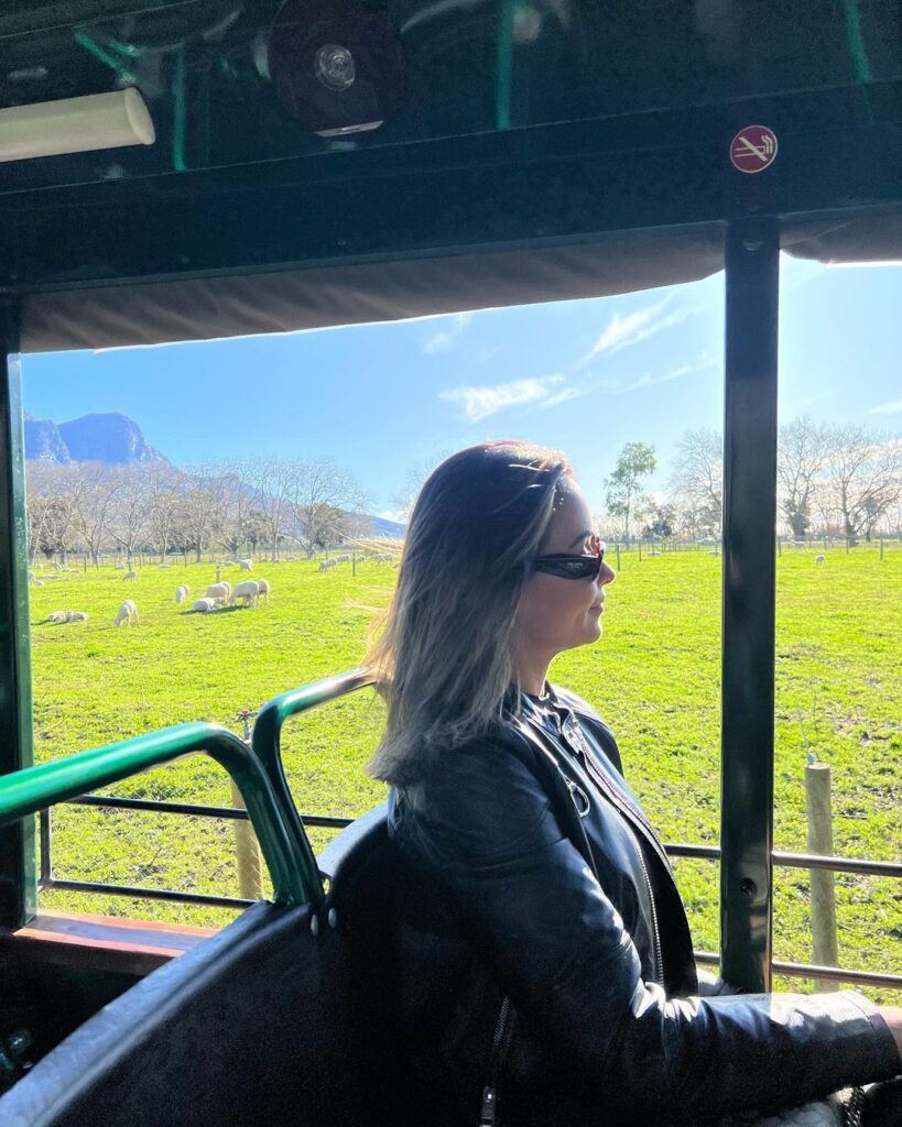 Franschhoek Wine Tram