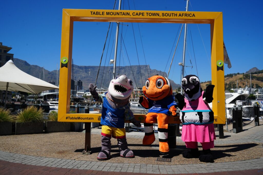 O que fazer em Cape Town com crianças