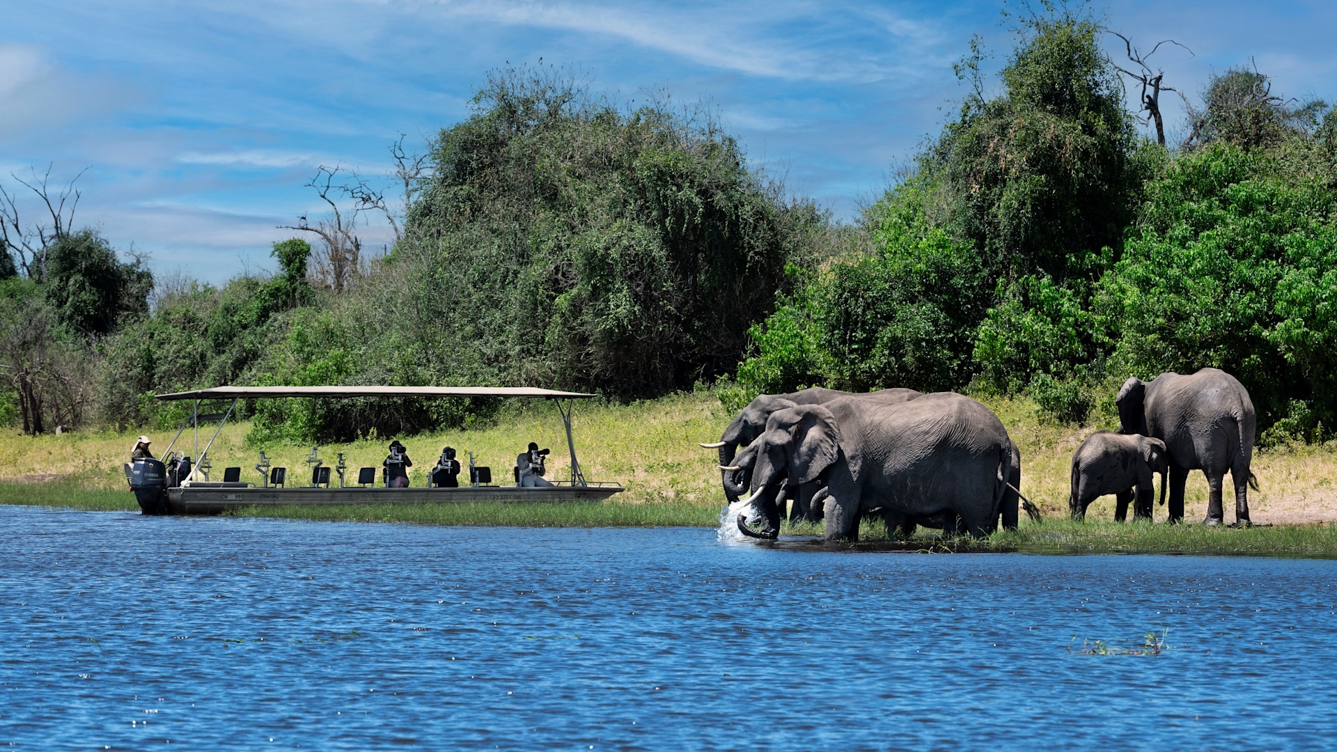 Victoria Falls e Chobe National Park: destinos para complementar sua viagem pela África do Sul