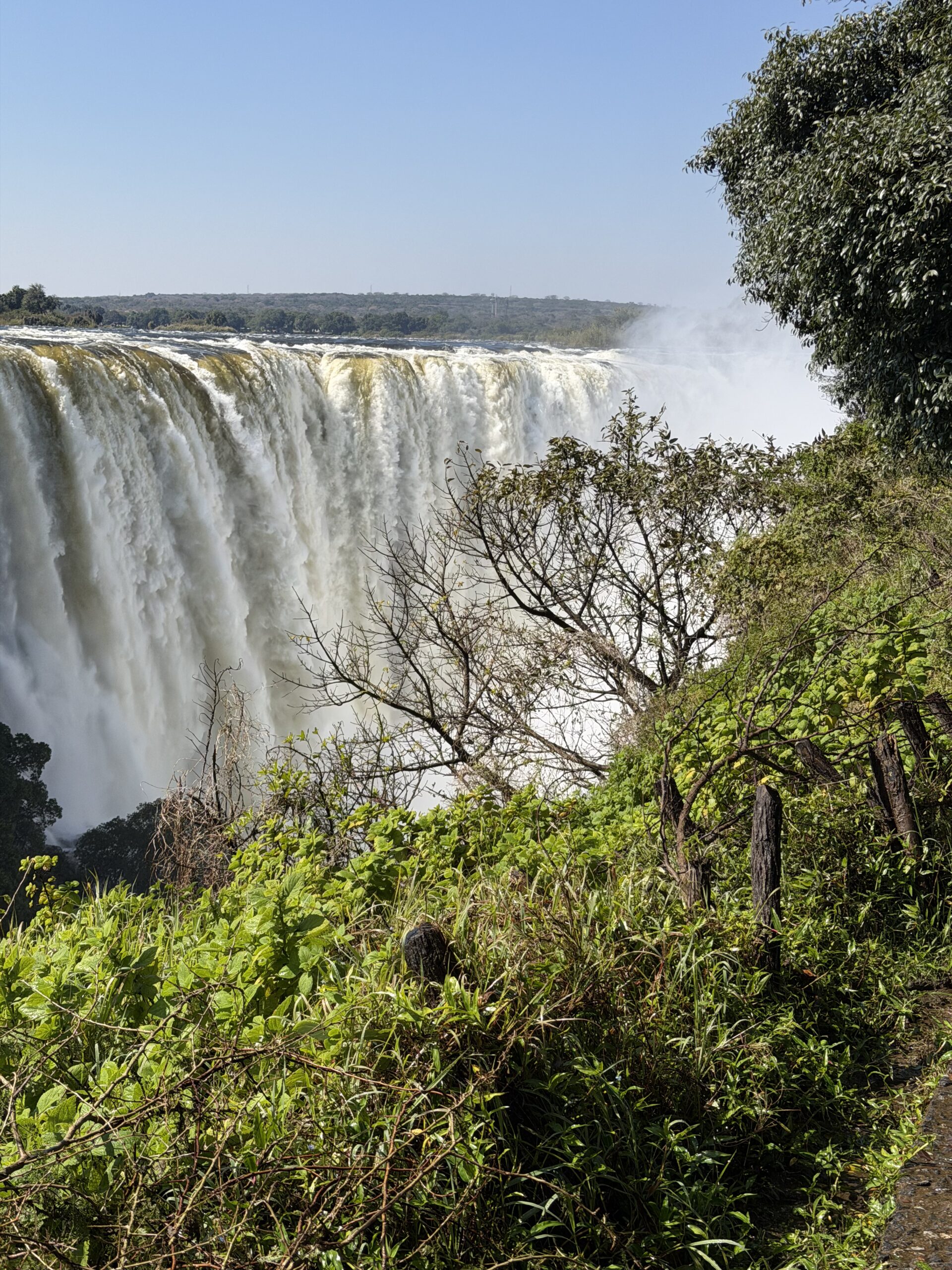 Victoria Falls e Chobe National Park: destinos para complementar sua viagem pela África do Sul