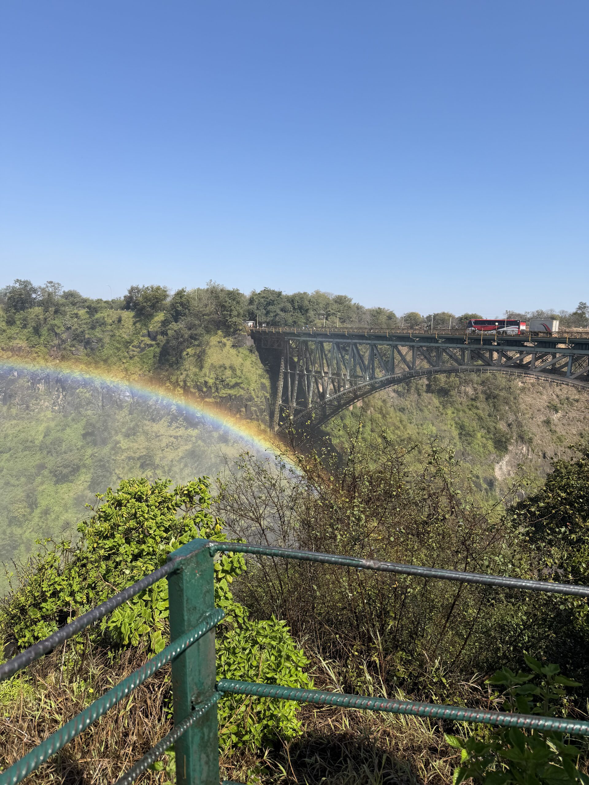 Victoria Falls e Chobe National Park: destinos para complementar sua viagem pela África do Sul