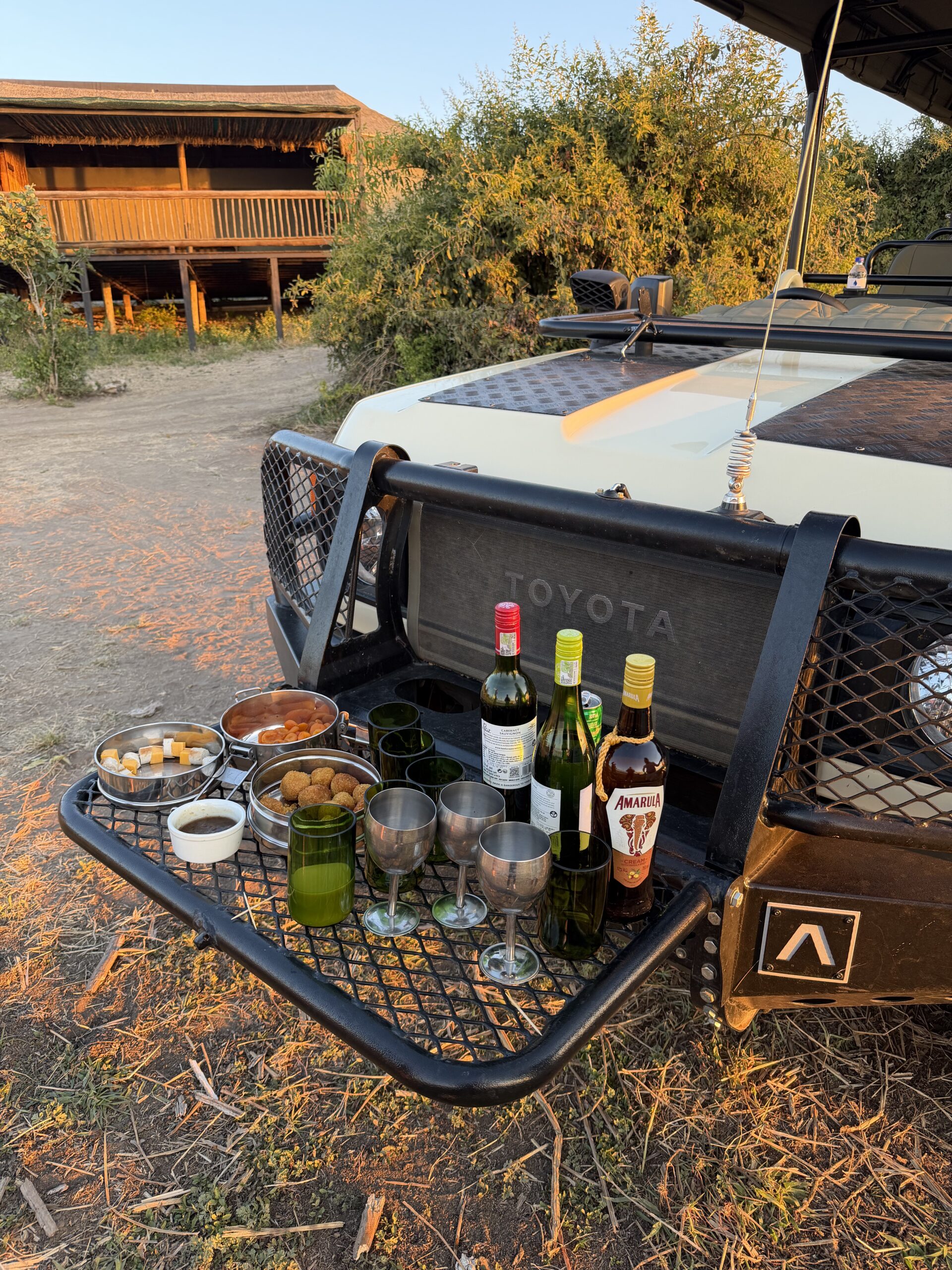 Victoria Falls e Chobe National Park: destinos para complementar sua viagem pela África do Sul